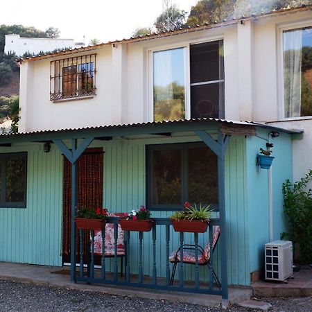 Vegan Guesthouse Finca Pereila Coín Eksteriør billede