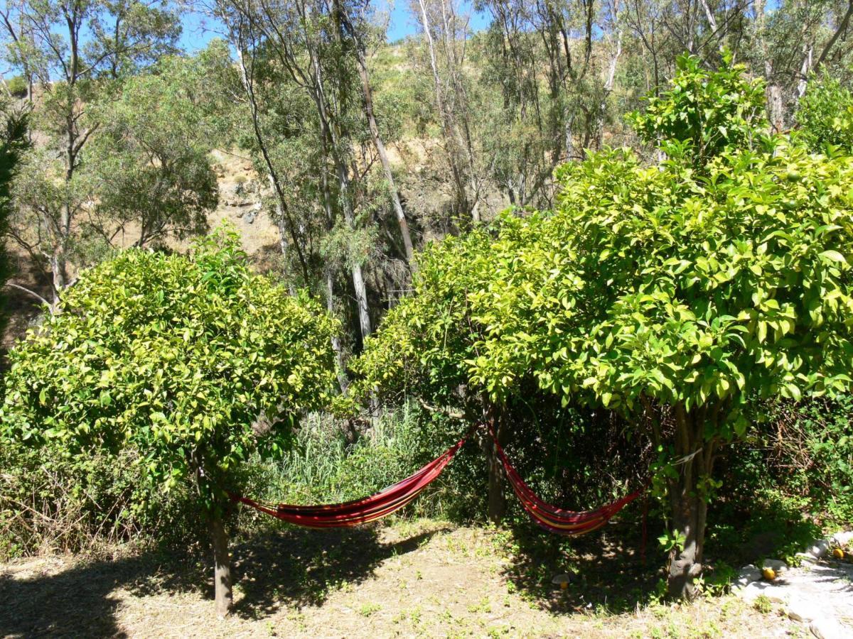 Vegan Guesthouse Finca Pereila Coín Eksteriør billede