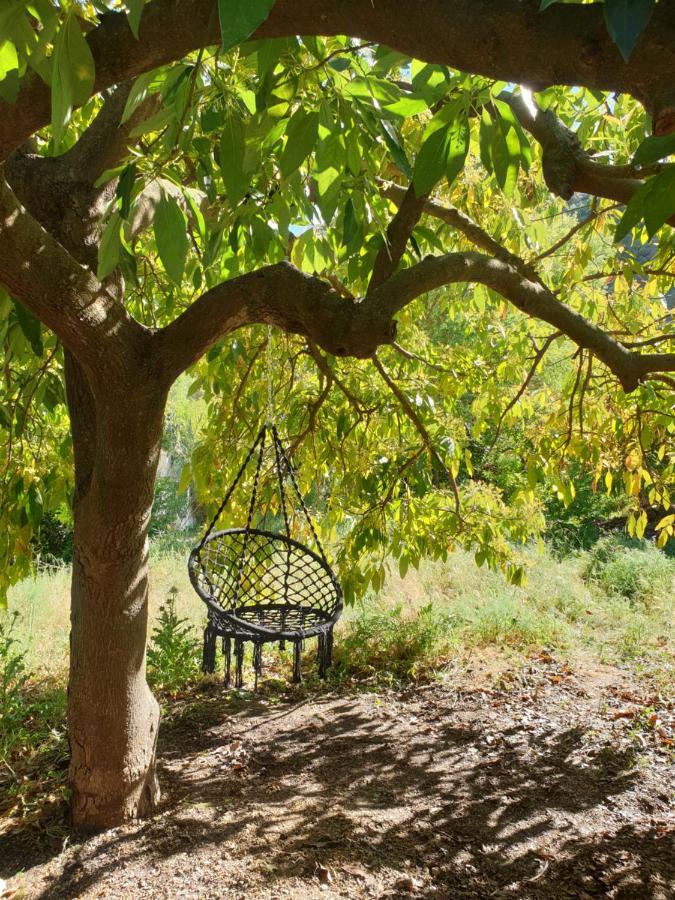 Vegan Guesthouse Finca Pereila Coín Eksteriør billede